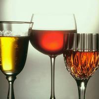 Large Range of wines at the School House Hotel and restaurant  in Swindon and Wootton Bassett