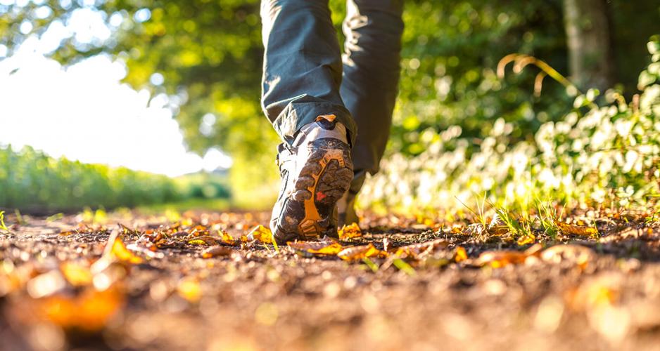 The Best Walking Routes in Wiltshire Wiltshire is one of England’s most rewarding counties for walking and is often highlighted among the best things to do in Wiltshire for visitors who enjoy the outdoors. Chalk downland, ancient trackways, river valleys, woodland and quiet villages combine to create routes that suit everything from short evening strolls to full-day and long-distance walks.