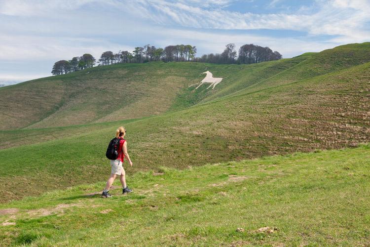 What’s the Best Time of Year to Visit Wiltshire? The best time to visit Wiltshire depends on your trip. Spring and autumn are ideal for countryside walks and scenery, summer is best for outdoor attractions and family days out, while winter is perfect for quieter countryside escapes and cosy hotel stays.