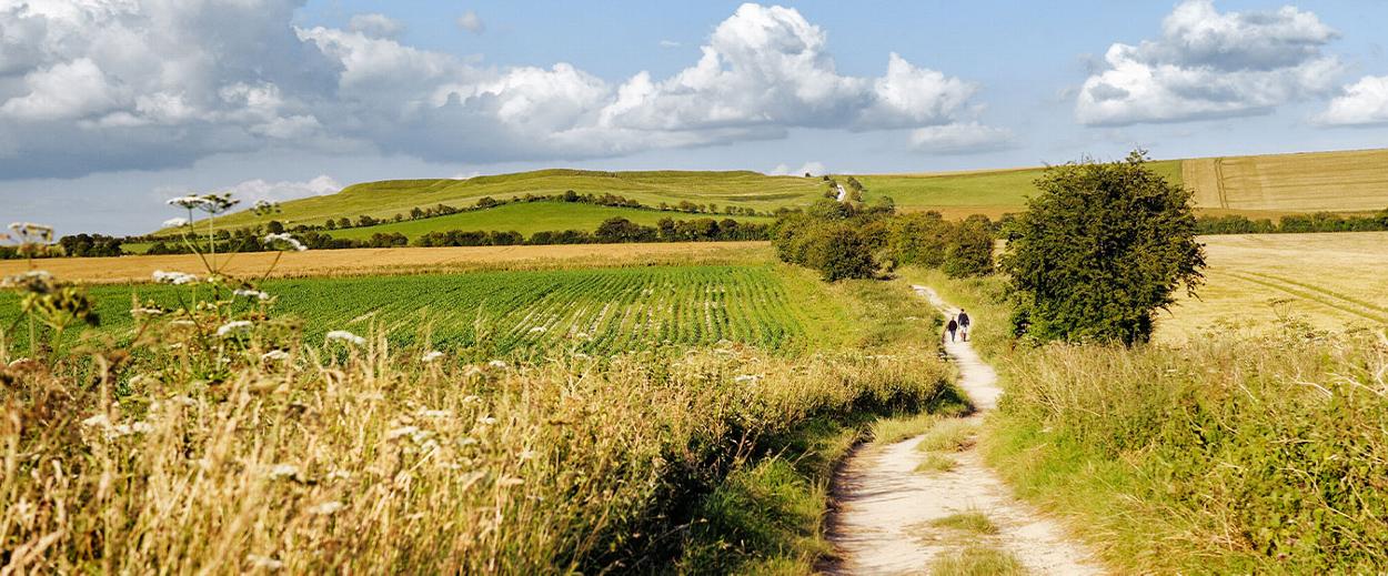 The Ridgeway National Trail