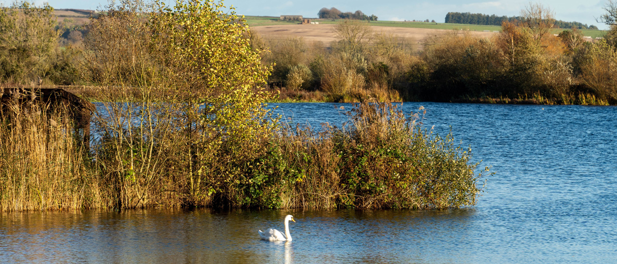 Langford Lakes Nature Reserve, wiltshire